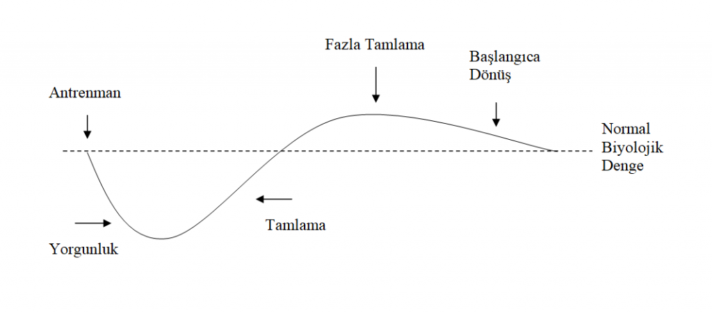 fazla tamlama ve vücut geliştirme